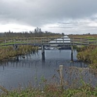 Bregen